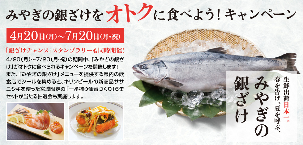 銀ざけチャンス