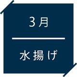 4月水揚げ