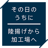 その日のうちに陸揚げから加工場へ