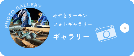 [ギャラリー]みやぎサーモンフォトギャラリー